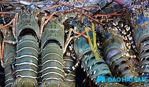 Các loại hải sản tươi sống được bày bán tại chợ, đảm bảo chất lượng cho món lẩu chua ngọt