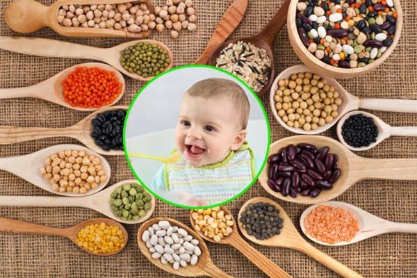 Các loại hạt dinh dưỡng đa dạng dành cho bé ăn dặm