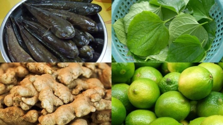 Các loại nguyên liệu tươi ngon chuẩn bị cho món canh cá bớp lá lốt