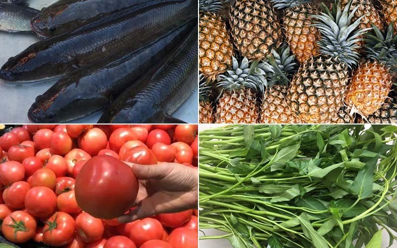Các loại nguyên liệu tươi ngon chuẩn bị cho món lẩu cá lóc