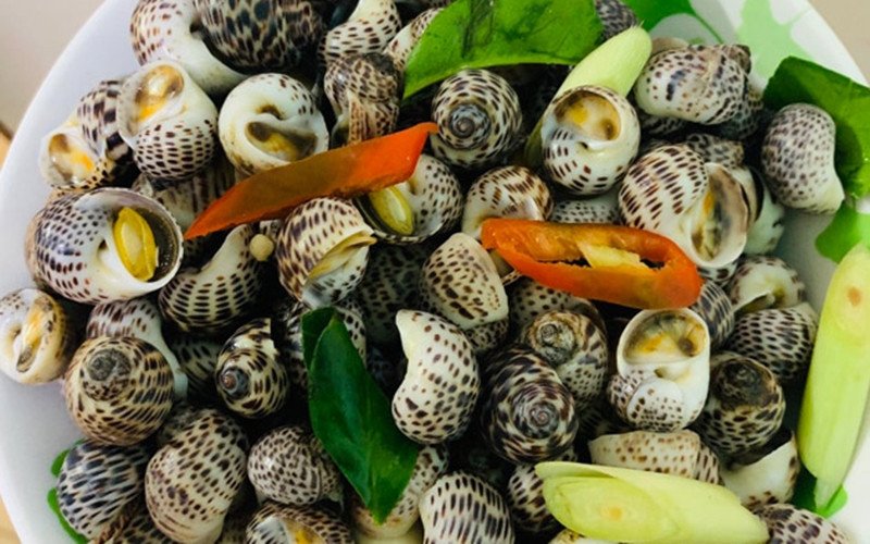 Các loại ốc đã sơ chế