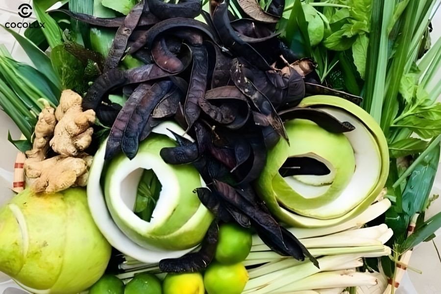 Các loại thảo dược tự nhiên cần thiết để nấu dầu gội có bọt