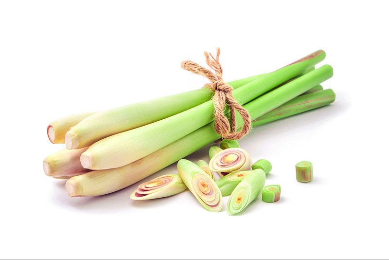 Các nguyên liệu thảo mộc như sả và bồ kết để nấu dầu gội cô đặc
