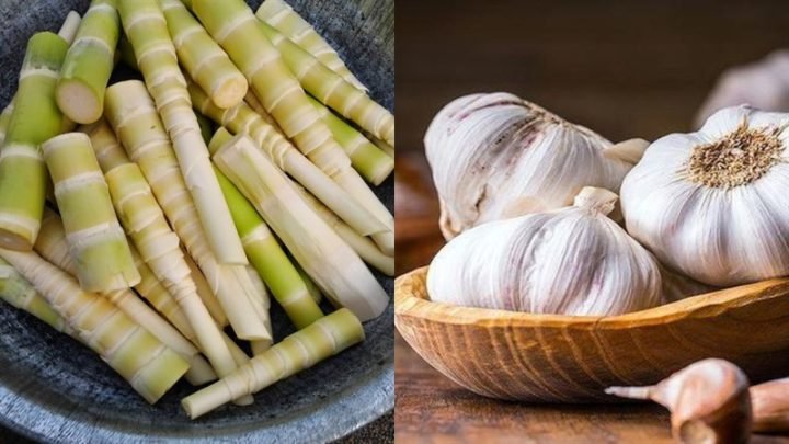 Các nguyên liệu tươi ngon chuẩn bị cho món xào măng tươi