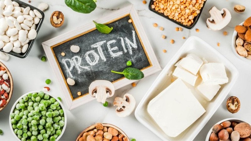 Các thực phẩm giàu đạm lành mạnh cung cấp năng lượng cho cơ thể