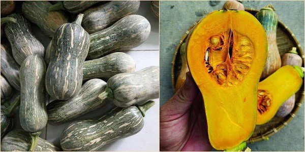 Cách chọn bí đỏ tươi ngon cho món súp bí đỏ sữa tươi