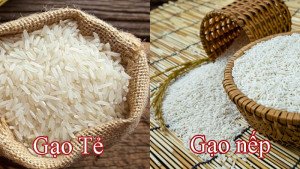 Cách chọn gạo tẻ ngon để làm bánh bò Cao Bằng