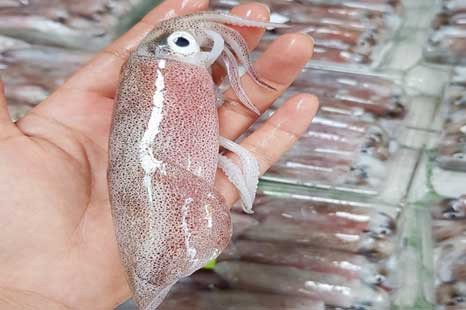 Cách chọn mực tươi ngon để xào không ra nước