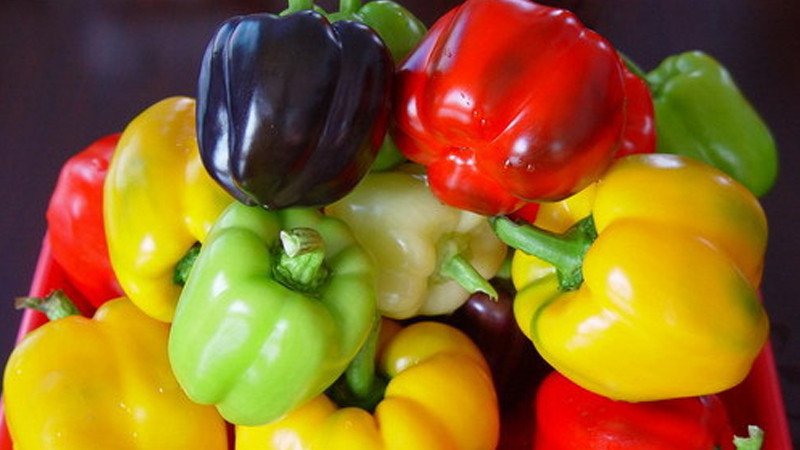 Cách chọn ớt socola tươi ngon