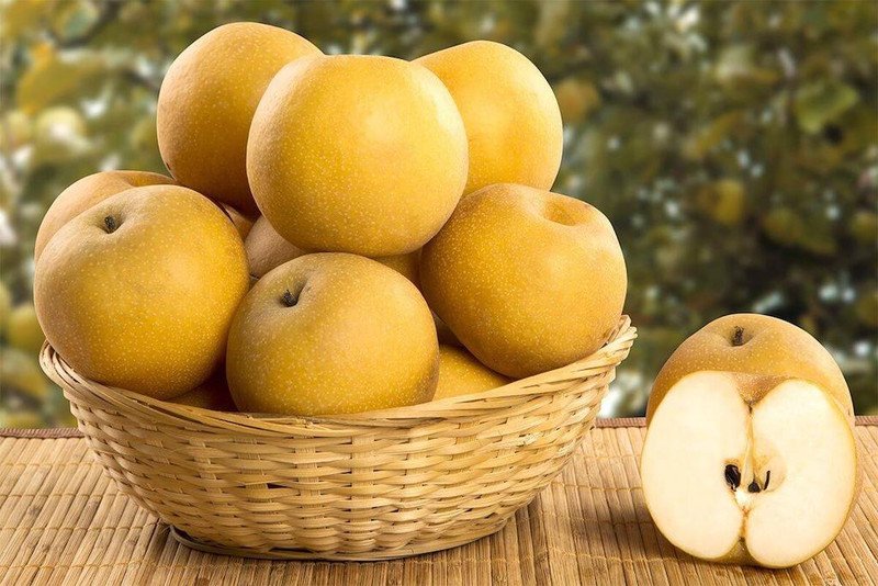 Cách chọn quả lê căng mọng để nấu nước lê táo đỏ cho bé