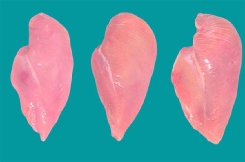 Cách chọn thịt để nấu súp gà cho bé