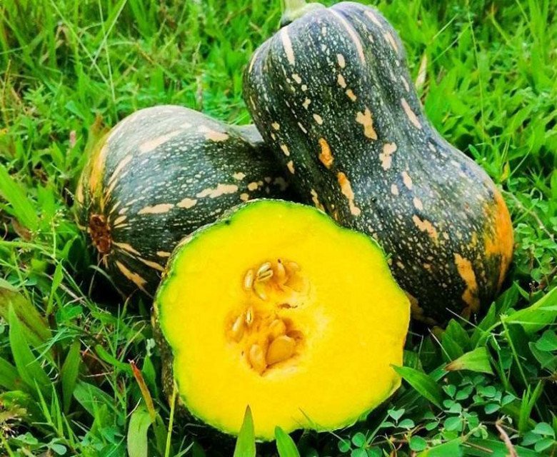 Cách nấu canh bí đỏ ngon, bí đỏ tươi sạch, miếng bí đỏ vàng ươm