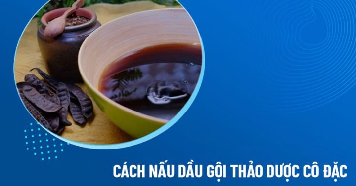 Hướng Dẫn Cách Nấu Dầu Gội Bồ Kết Tại Nhà Đơn Giản cách nấu dầu gội bồ kết cô đặc