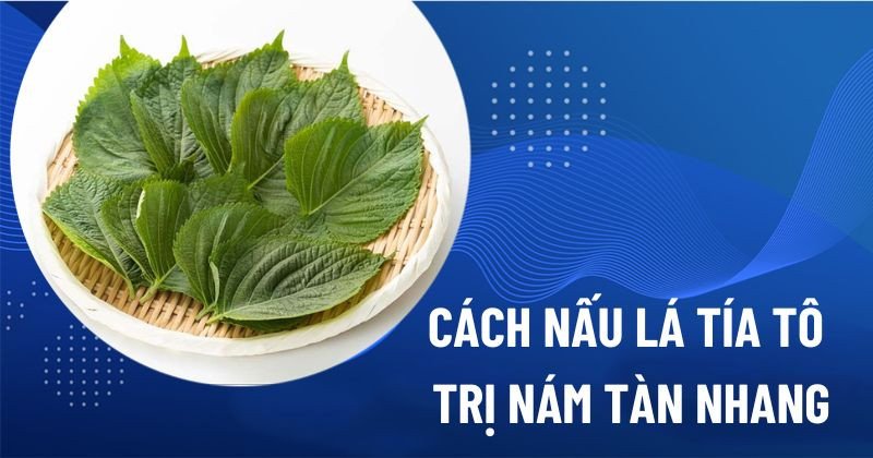 cách nấu nước lá tía tô uống trị nám da hiệu quả