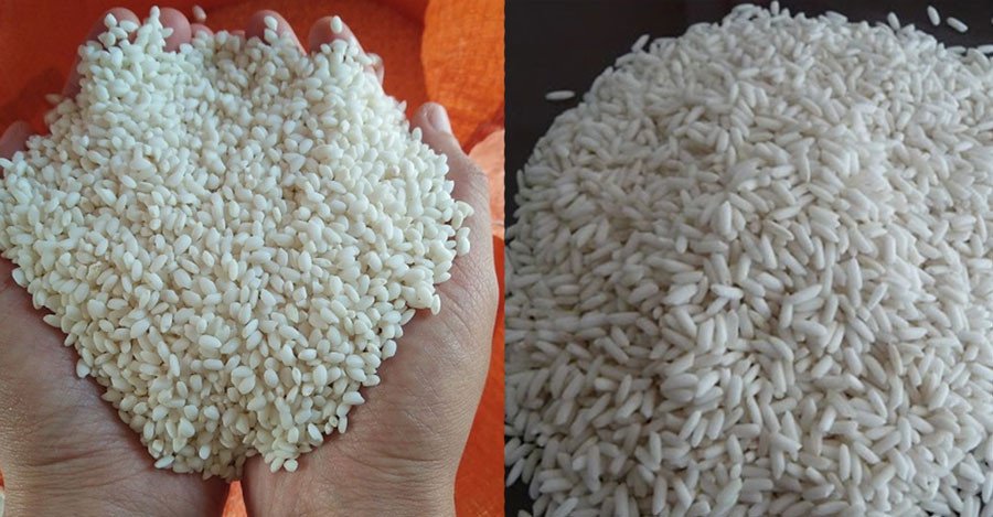 Cách Nấu Xôi Vò Ngon Chuẩn Vị, Dẻo Thơm Mọi Nhà Đều Mê Cách nấu xôi vò ngon, hạt nếp căng tròn, trắng đục tự nhiên