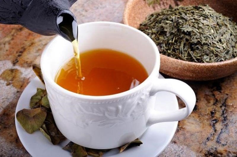 Cách pha trà từ lá vú sữa khô giúp giảm triệu chứng đau dạ dày