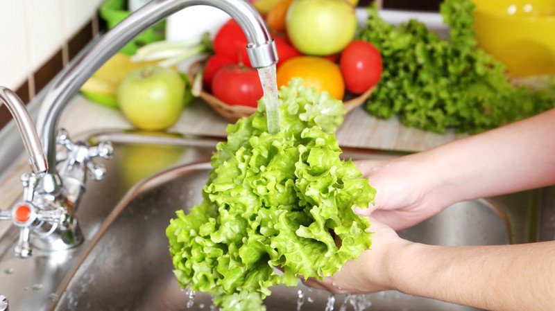 Cách rửa và bảo quản xà lách đúng cách
