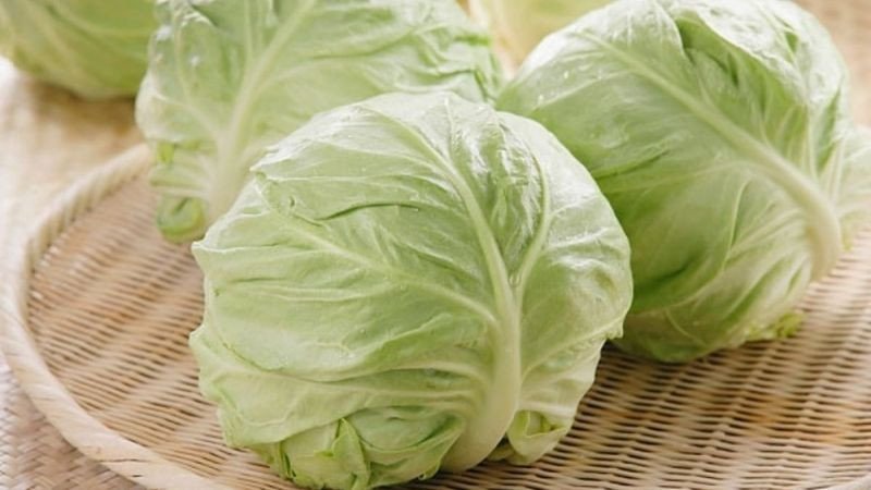 Cải bắp xanh tươi ngon