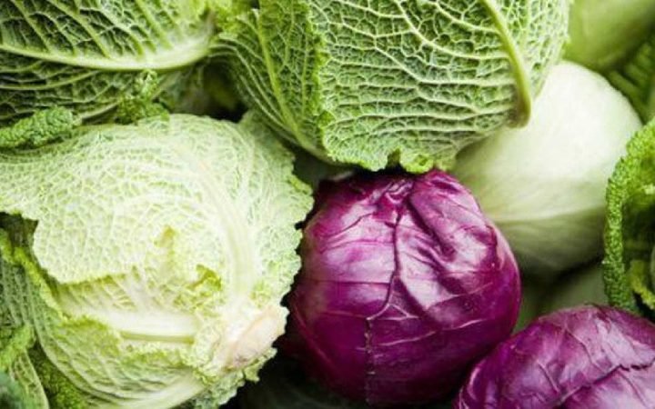 Cải bắp xanh tươi với lá cuộn chặt, minh họa về loại rau dinh dưỡng