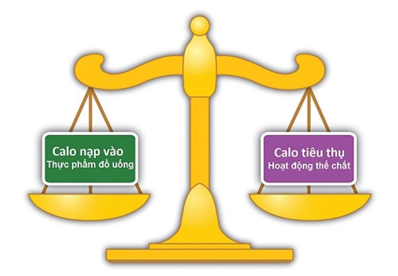 Cân bằng calo nạp vào và tiêu hao để duy trì vóc dáng