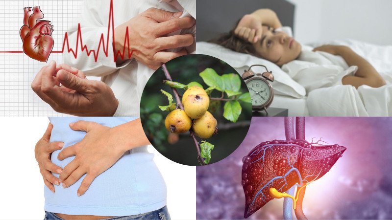 Cận cảnh táo mèo khô cắt lát