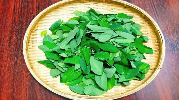 Canh rau ngót bổ dưỡng