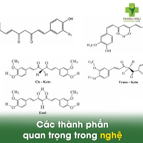 Cấu tạo các thành phần dinh dưỡng quan trọng trong củ nghệ