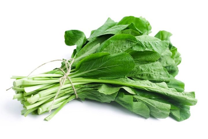 Cây cải ngọt tươi tốt