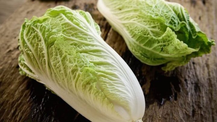 Cây cải thảo tươi xanh, minh họa hàm lượng calo thấp