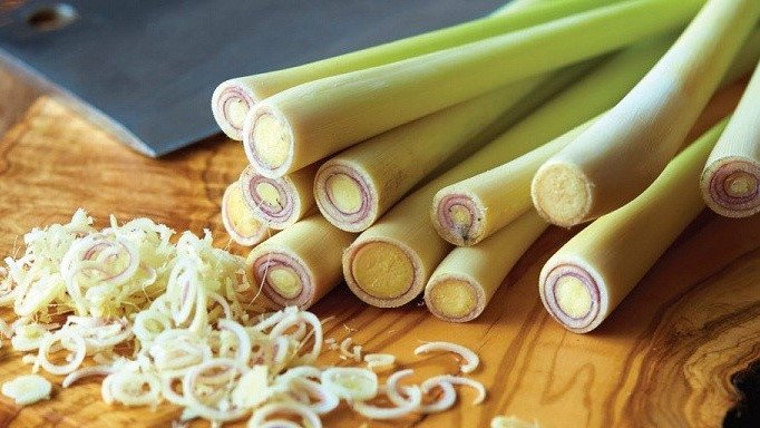 Cây sả tươi được dùng trong cách nấu nước chanh sả gừng giảm cân