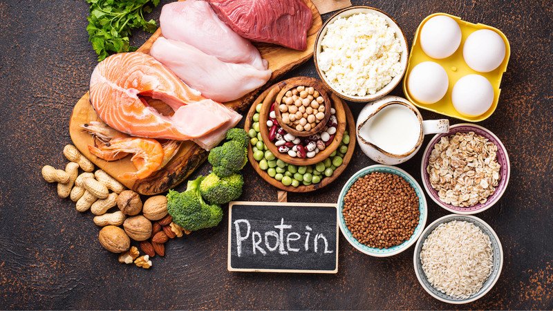 Chế độ ăn giàu đạm giúp giảm cân và kiểm soát calo hiệu quả
