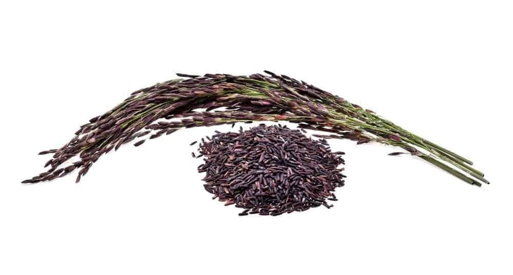 Chén cơm gạo lứt tím than dồi dào lợi ích cho sức khỏe