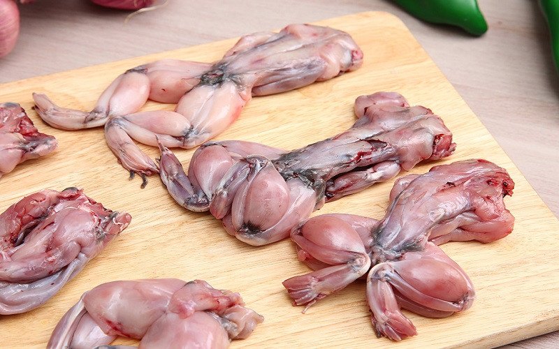 Chỉ khi ăn quá nhiều thịt ếch mà không vận động thì mới bị béo