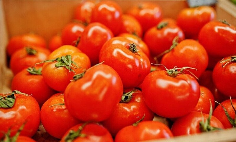Chọn cà chua chất lượng ngon làm sốt bánh mì xíu mại để kinh doanh