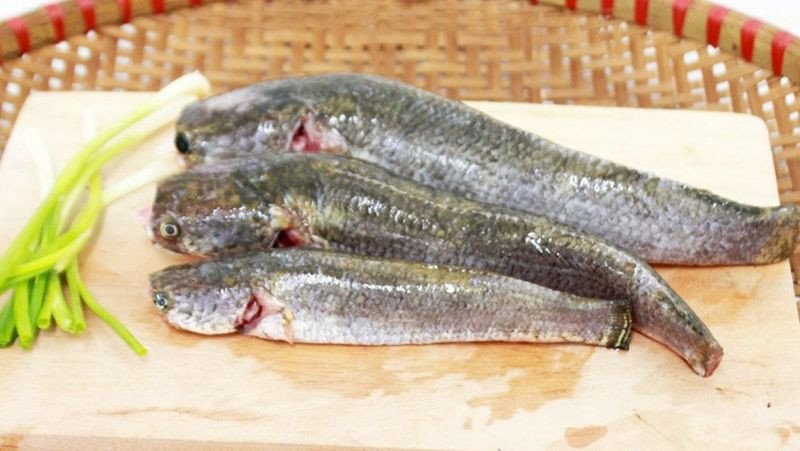 Chọn cá lóc tươi ngon cho cách nấu bún cá An Giang