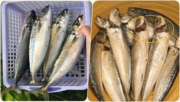 Tổng Hợp Cách Nấu Cá Nục Ngon Đậm Đà Chuẩn Vị Gia Đình Chọn cá nục tươi ngon để nấu