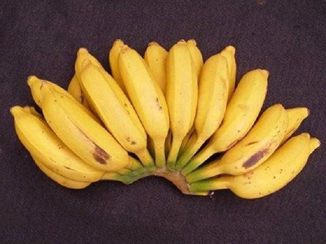 Chọn chuối sứ chín tới cho món chè chuối thập cẩm thơm ngon