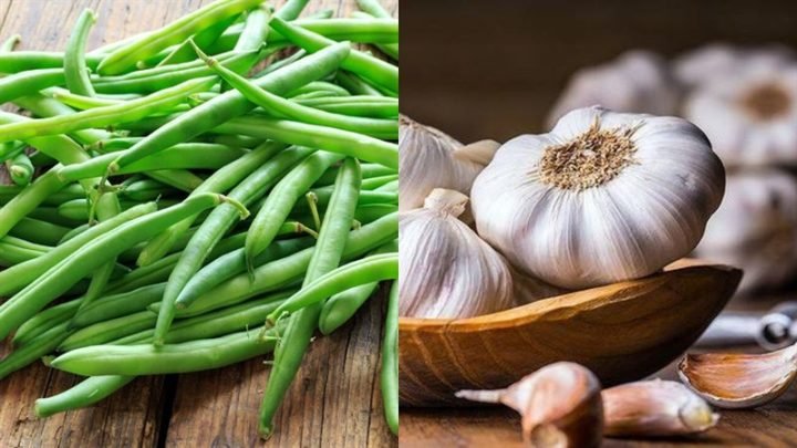 Chọn đậu que xanh tươi để xào ngon