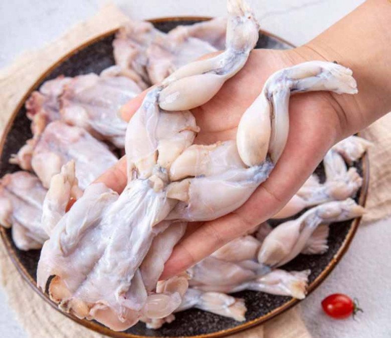 Cách Nấu Lẩu Ếch Măng Chua Ngon Tuyệt Đỉnh Tại Nhà Chọn ếch tươi ngon cho lẩu
