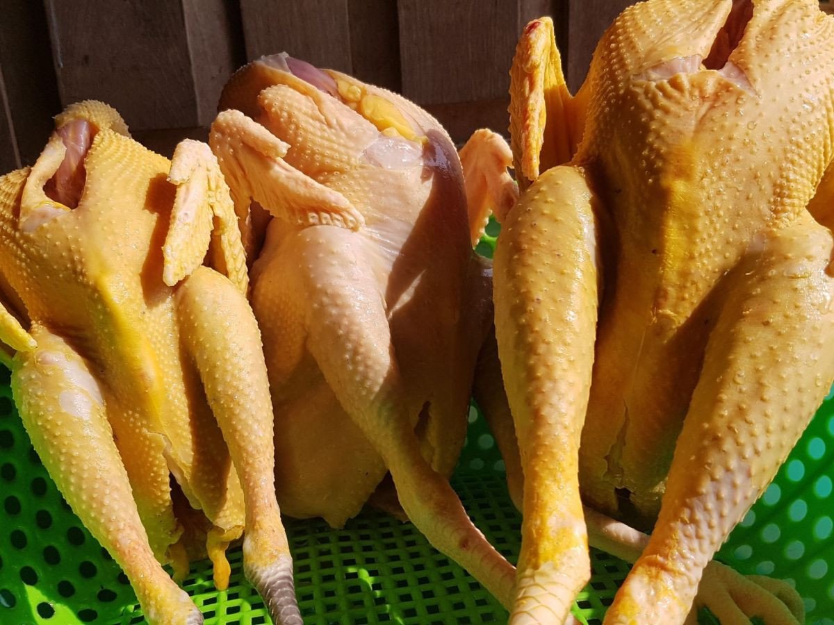 Nấu Mì Quảng Gà Ngon Chuẩn Vị Đặc Trưng Xứ Quảng Tại Nhà Chọn gà ta tươi ngon để nấu mì Quảng gà ngon