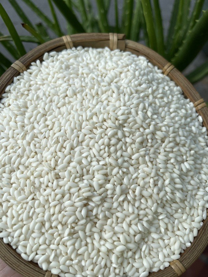 Chọn gạo nếp cái hoa vàng để nấu xôi gấc