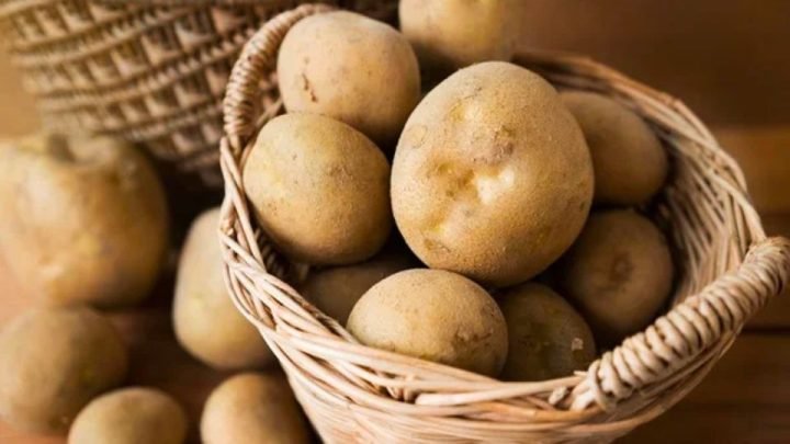 Chọn khoai tây tươi để xào