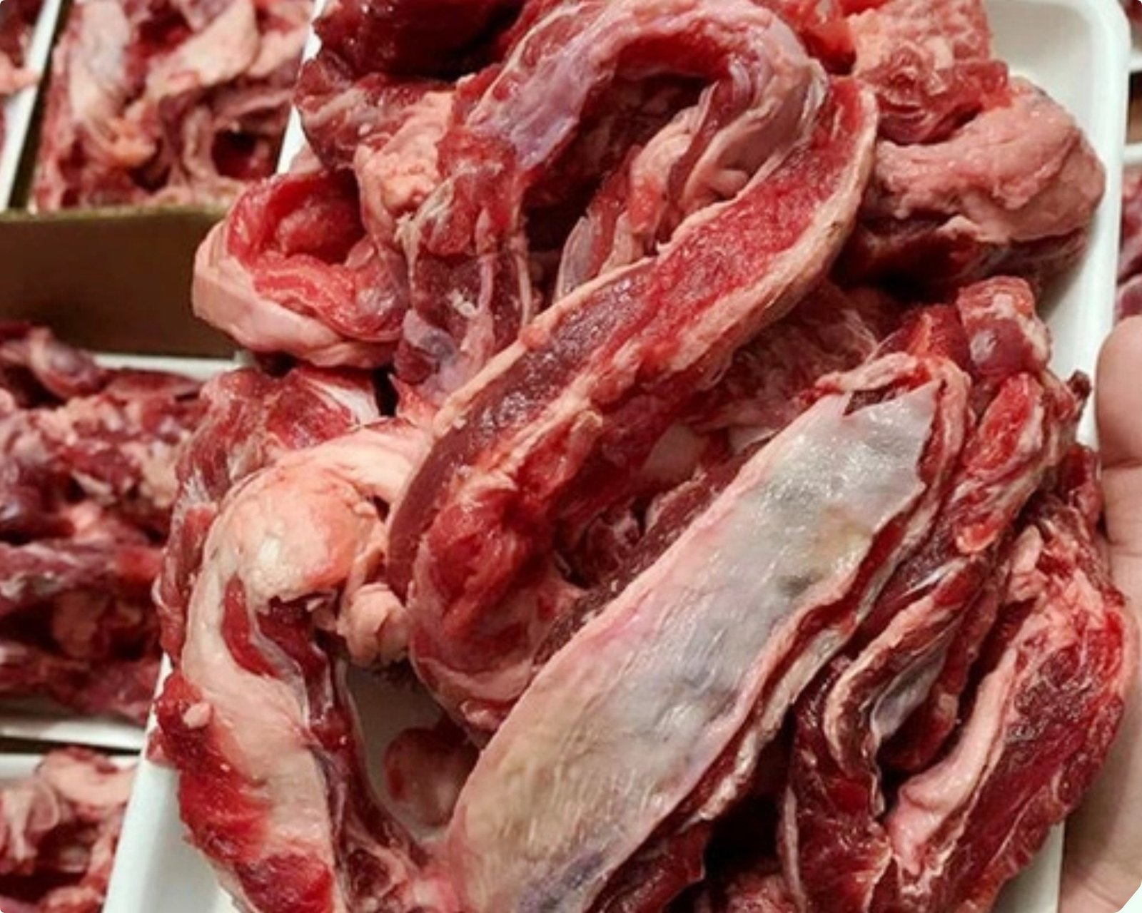 Chọn miếng thịt bò tươi ngon để làm sốt vang bò