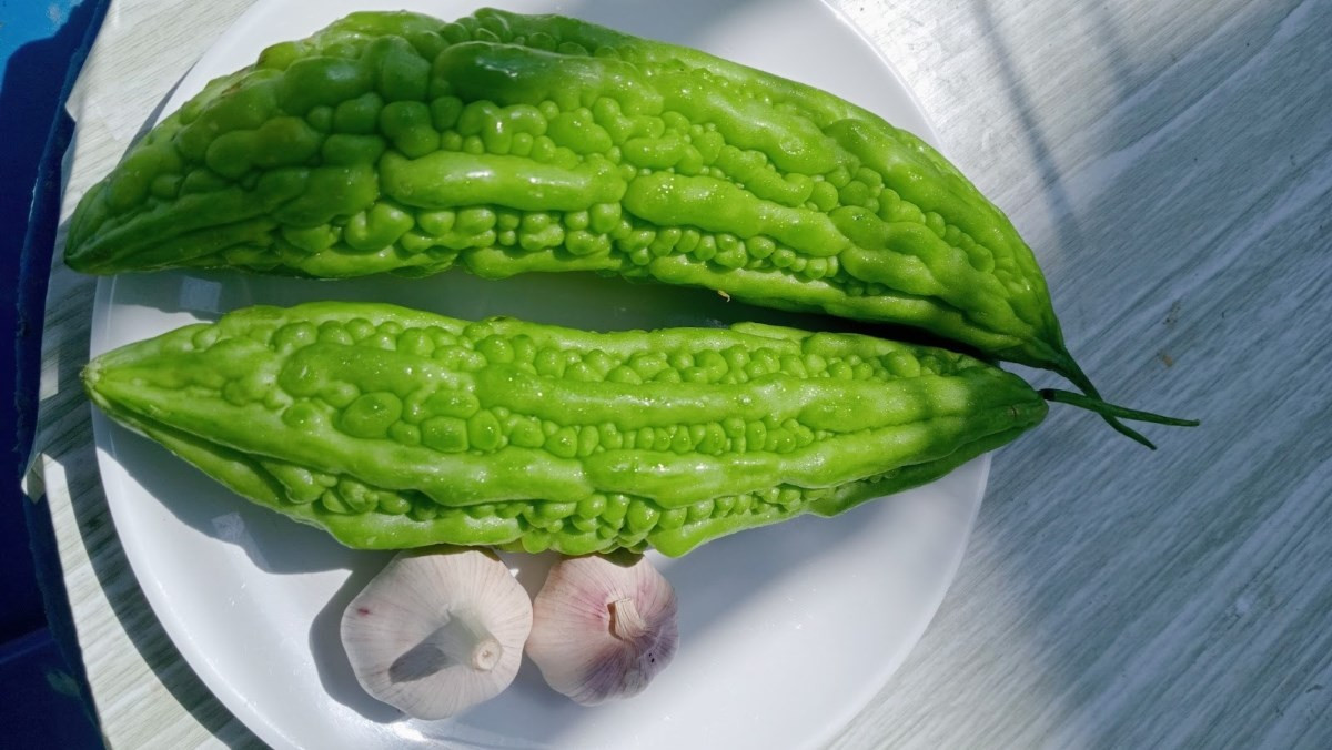 Chọn mướp đắng tươi để xào