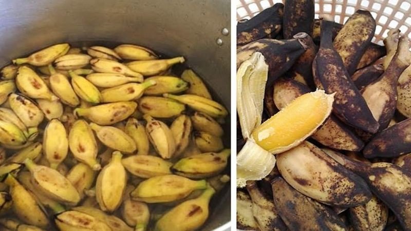 Chuối xanh chứa thành phần kháng tinh bột tự nhiên