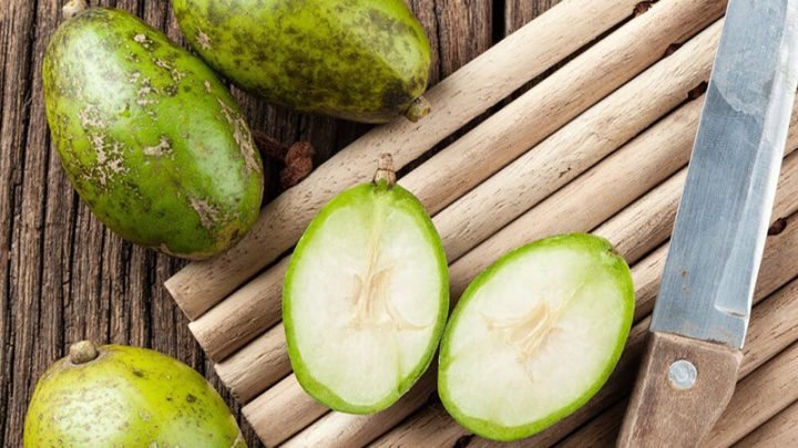 Cóc tươi nguyên quả xanh mướt