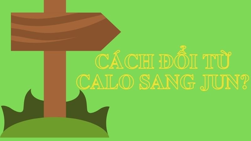 Công cụ trực tuyến giúp chuyển đổi calo và jun