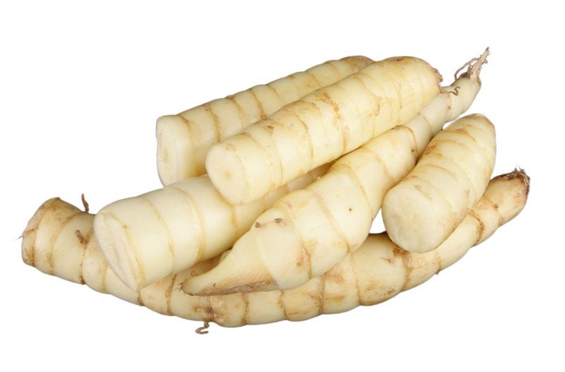 Củ bình tinh sau khi thu hoạch