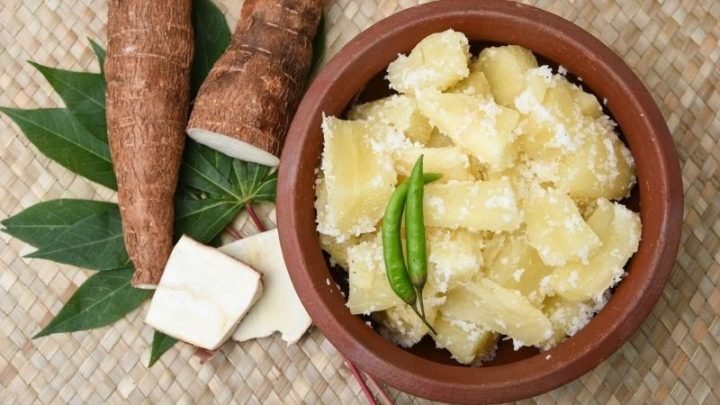 Củ mì tươi ngon, một loại củ giàu năng lượng và dinh dưỡng