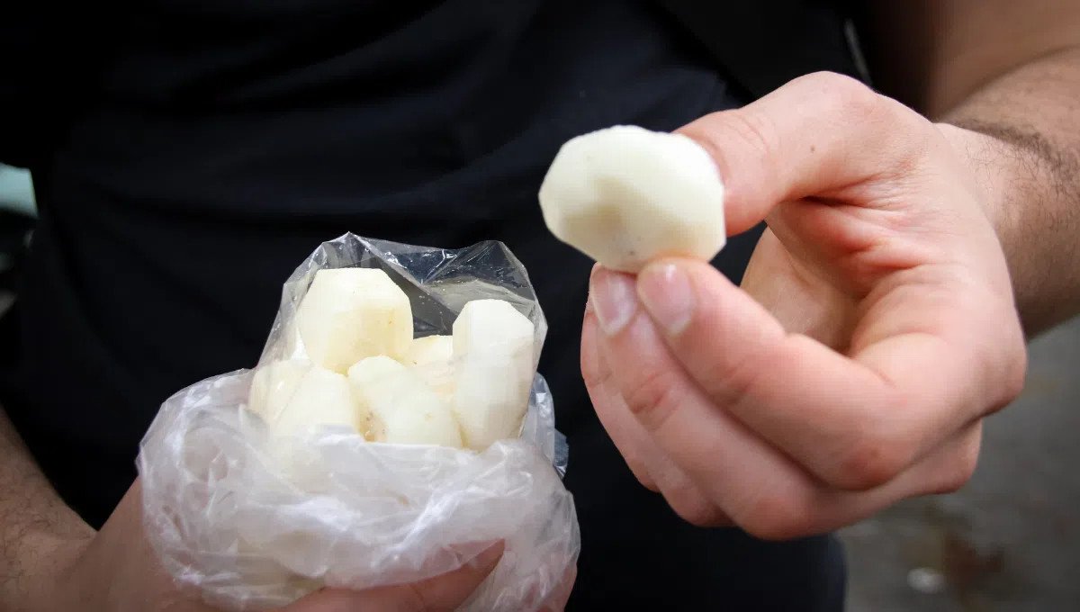 Củ năng tươi đã gọt vỏ, sẵn sàng chế biến các món ăn ngon miệng.